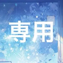 餅様 リクエスト 2点 まとめ商品