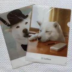 SoftBank 白い犬 クリアファイル 2枚セット