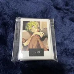 巴日和 ぱしゃっつ 12枚セット