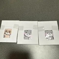 zeroni ぴたハグ ゴニニ ハニニ