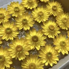 mi.ko様 リクエスト 2点 まとめ商品