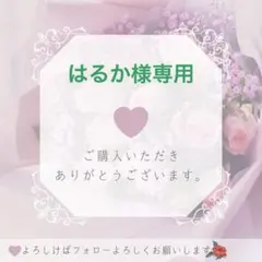 はるか様専用