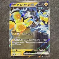✨テツノカイナEX RR 027/066 sv4M✨のサムネイル