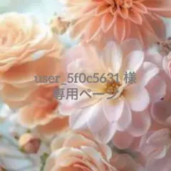 user_5f0c5631 様　専用のページです
