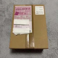 未開封新品　横浜記念デッキ ピカチュウ