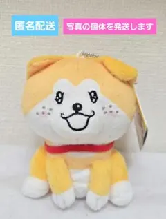 秋田犬たれみみだいちゃん　ボールチェーン付きぬいぐるみ　b