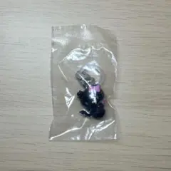 あやか様専用 ハローキティ　めじるしアクセサリー　【小悪魔・日焼け】