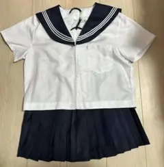 Item thumbnail for item 04ea82b8-846e-4270-8f60-9fafe46b9fca