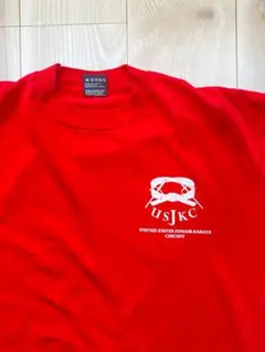 【USA製・90s】フルーツオブザルーム 空手団体Tシャツ シングルステッチXL