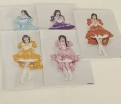 大阪大特 抽選会生写真 FRUITS ZIPPER