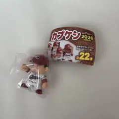 カプケシ 2026 新井