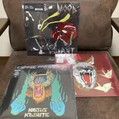 Hiatus Kaiyote　数量限定盤　レコードセット 2026年最新】hiatus kaiyote レコードの人気アイテム - メルカリ