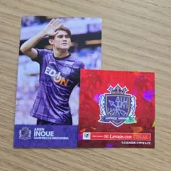 サンフレッチェ広島 スポーツカード