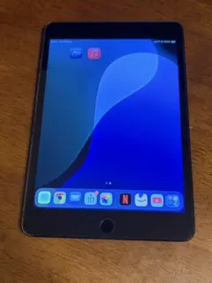 iPad mini 第5世代　cellular セルラーモデル　256gbのサムネイル
