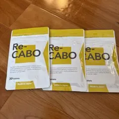 Item thumbnail for item 01579eb0-60ba-42ad-a620-fdd21109ea1d