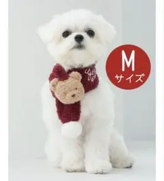 Item thumbnail for item 335ad94b-df8a-405c-a6a7-eec412be0f23