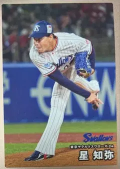 カルビー プロ野球チップスカード 2026 東京ヤクルトスワローズ 星知弥