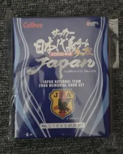 カルビーJリーグチップス 2002年 日本代表 メモリアルカードセット未