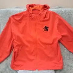 Item thumbnail for item 956713ba-4700-4030-ade9-6fc19311f97c