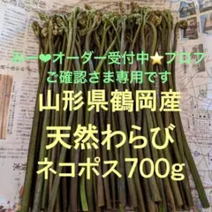 みー❤︎オーダー受付中⭐️プロフご確認さま専用 朝採りわらび 700gネコポス発送