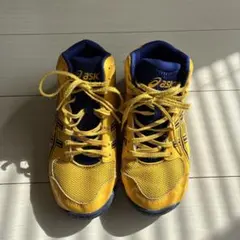 アシックス バスケットボール