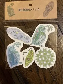 微生物ステッカー　シール
