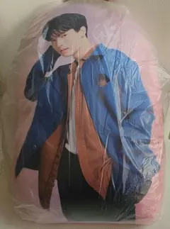 win vivo クッション