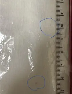 ⭐︎みみみ様　ご専用⭐︎