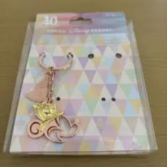 東京ディズニーリゾート 40周年 キーチェーン