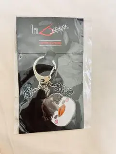 2PMCONSERT 6nights ZooPM キーリング　エンペラーペンペン