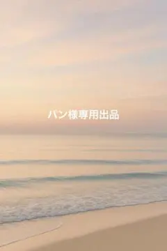 パン様専用【新品未使用】無印良品 天竺編みクルーネック長袖Ｔシャツ XL