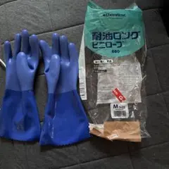 Item thumbnail for item b4cb0f9a-8301-407e-954f-43b7bb60be95