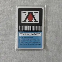 ハンターハンター　初期懸賞品　ハンターライセンス　ヘルスチェックカード ハンターハンター 初期懸賞品 ハンターライセンス ヘルス