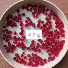 Item thumbnail for item f2ef6b05-8d23-4c9f-addf-6d80ae7cf2ae