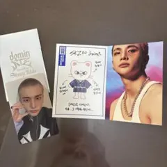 straykids トレカ　skzoo プロフィールカード