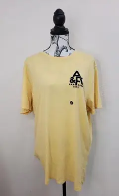abercrombie&fitch Tシャツ