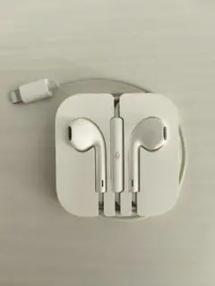 Apple EarPods with Lightning Connector
