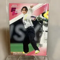 Item thumbnail for item 2f8b402e-8742-464c-a9e3-097d42f57f97