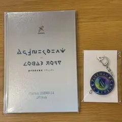 【美品】ポケモンレジェンズ ZA特典 アートブック キーホルダー