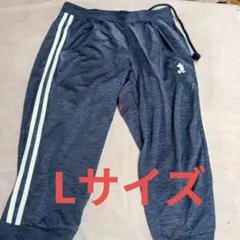 Disney ミッキーマウス刺繍パンツ Lサイズ