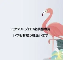 ⠜ꕤりおな‪ꕤ⠜プロフ必読お願いします　0923 なー プロフィール確認してください様専用 - メルカリ