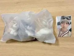 stray kids スキズ メンプロ リノ スンドゥンドリ キーリング
