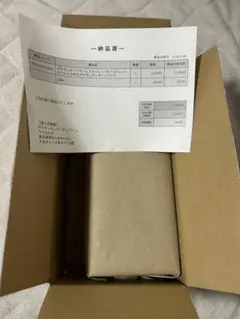 ポケモンセンターヒロシマ スペシャルBOX シュリンク付き 新品未開封