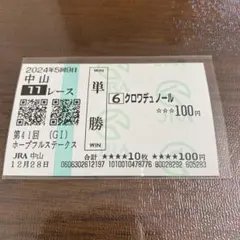 期限切れ単勝馬券】 ジャパンカップ 2004 ゼンノロブロイ ウマ娘