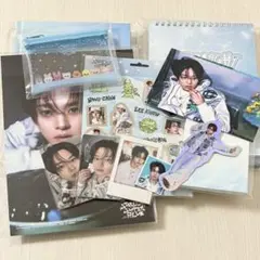 スキズ 本国シーグリ 封入 leeknow set