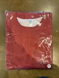 ノーザンホースパークマラソン　参加賞 Tシャツ XLのサムネイル
