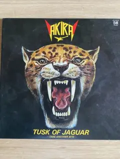 2025年最新】高崎晃 ジャガーの人気アイテム - メルカリ