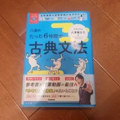 八澤のたった6時間で古典文法
