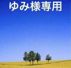 【ゆみ様専用】ハンドメイド 9/7