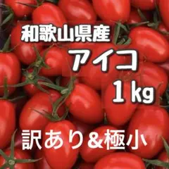 訳あり！和歌山県産ミニトマトアイコのサムネイル